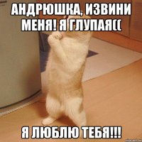 Андрюшка, извини меня! Я глупая(( Я люблю тебя!!!