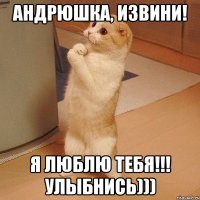 Андрюшка, извини! Я люблю тебя!!! Улыбнись)))