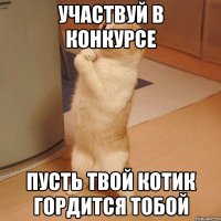 участвуй в конкурсе пусть твой котик гордится тобой