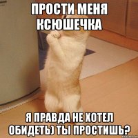 ПРОСТИ МЕНЯ КСЮШЕЧКА Я ПРАВДА НЕ ХОТЕЛ ОБИДЕТЬ) ТЫ ПРОСТИШЬ?