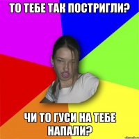 То тебе так постригли? чи то гуси на тебе напали?