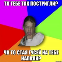 То тебе так постригли? чи то стая гусей на тебе напали?