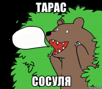 Тарас Сосуля