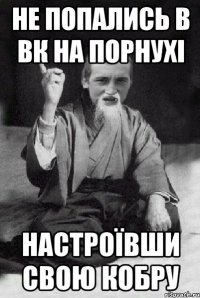 Не попались в вк на порнухі настроївши свою кобру