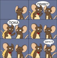 ПРИВЕТ ПОКА ЗДРАСТЕ