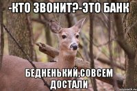 -кто звонит?-это банк бедненький,совсем достали