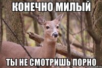 конечно милый ты не смотришь порно