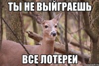 ты не выйграешь все лотереи