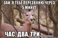 Зай, я тебе перезвоню через 5 минут Час, два, три............