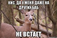 Кис, да у меня даже на других баб Не встает