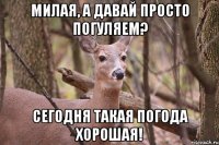 Милая, а давай просто погуляем? Сегодня такая погода хорошая!