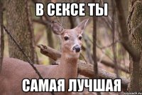 В сексе ты самая лучшая