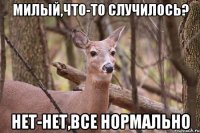 Милый,что-то случилось? нет-нет,все нормально