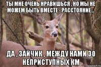 Ты мне очень нравишься , но мы не можем быть вместе - расстояние... да , зайчик , между нами 30 неприступных км