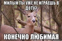 Милый ты уже не играешь в доту? конечно любимая