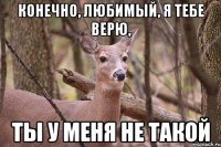 конечно, любимый, я тебе верю, ты у меня не такой