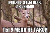 конечно, я тебе верю, любимый! ты у меня не такой