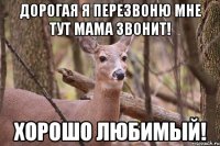 дорогая я перезвоню мне тут мама звонит! хорошо любимый!