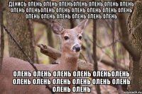 денись олень олень оленьолень олень олень олень олень оленьолень олень олень олень олень олень олень олень олень олень олень олень олень олень олень олень оленьолень олень олень олень олень олень олень олень олень