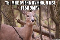 ты мне очень нужна, я без тебя умру 