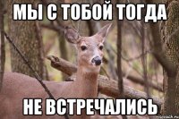 Мы с тобой тогда не встречались