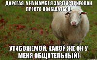 Дорогая, а на мамбе я зарегистрирован просто пообщаться. Утибожемой, какой же он у меня общительный!