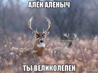 Алён Алёныч Ты великолепен