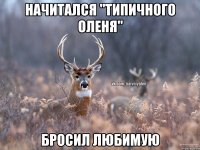 Начитался "Типичного оленя" Бросил любимую