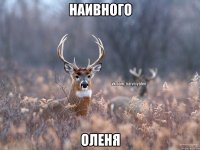 наивного оленя