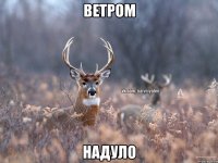 ветром надуло