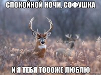 Спокойной ночи, Софушка И я тебя тоооже люблю