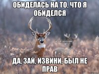 ОБИДЕЛАСЬ НА ТО, ЧТО Я ОБИДЕЛСЯ ДА, ЗАЙ, ИЗВИНИ, БЫЛ НЕ ПРАВ