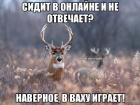 Сидит в онлайне и не отвечает? Наверное, в ваху играет!