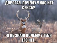 -Дорогая, почему у нас нет секса? -Я не знаю почему у тебя его нет.