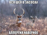 вся шея в засосах аллергия наверное