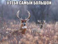 у тебя самый большой 