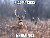 я дома сижу милая моя