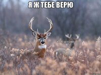 Я Ж ТЕБЕ ВЕРЮ 