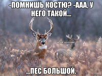 -помнишь костю? -ааа, у него такой... ...пес большой.