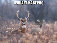 Кушает наверно 