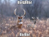 выцввы вывы