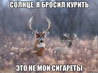 солнце, я бросил курить это не мои сигареты