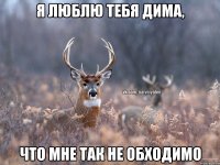 я люблю тебя Дима, что мне так не обходимо