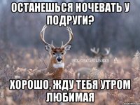 останешься ночевать у подруги? хорошо, жду тебя утром любимая