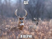 Да, я верю