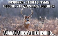 ПОЗВОНИЛ - СТОНЕТ В ТРУБКУ. ГОВОРИТ, ЧТО УДАРИЛАСЬ КОЛЕНКОЙ. АЙАЙАЙ АККУРАТНЕЙ НУЖНО...