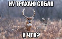 Ну трахаю собак и что?