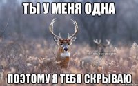 Ты у меня одна Поэтому я тебя скрываю