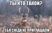 Ты кто такой? Тебя сюда не приглашали