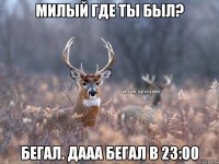 Милый где ты был? Бегал. Дааа бегал в 23:00